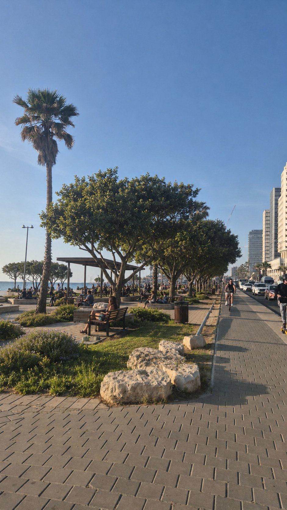 צריך ירוק