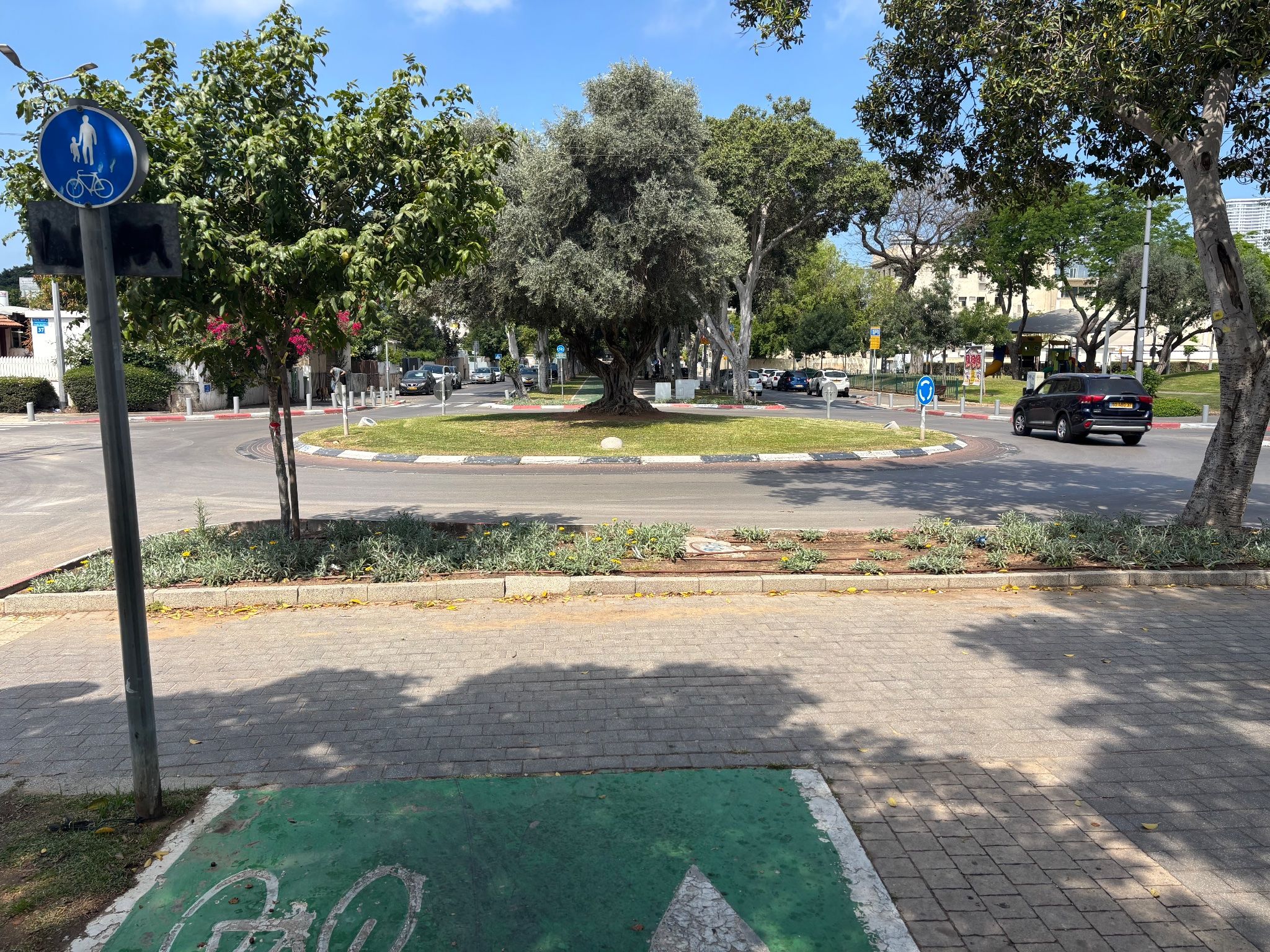 צריך מעבר חצייה