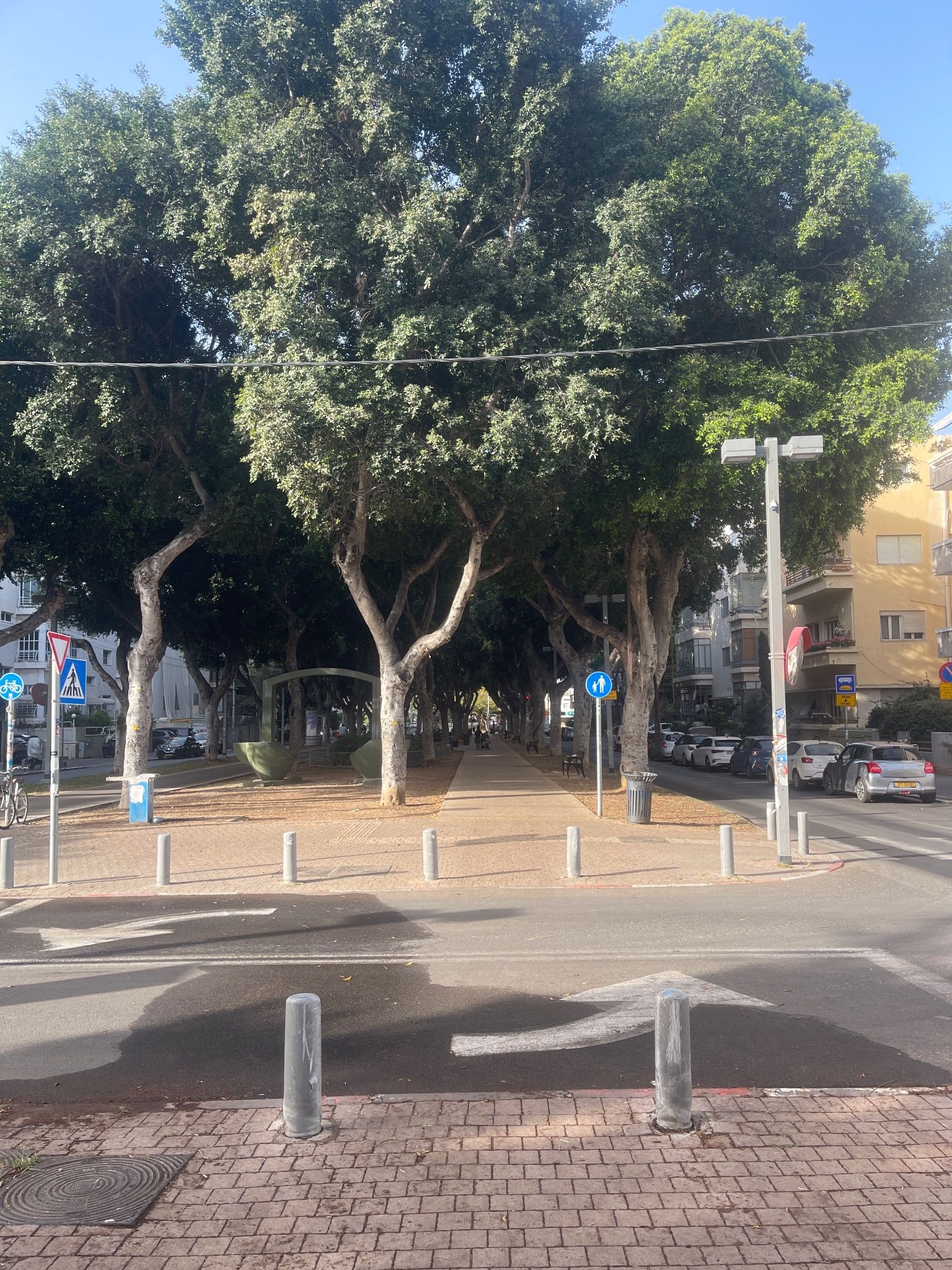 צריך מעבר חצייה