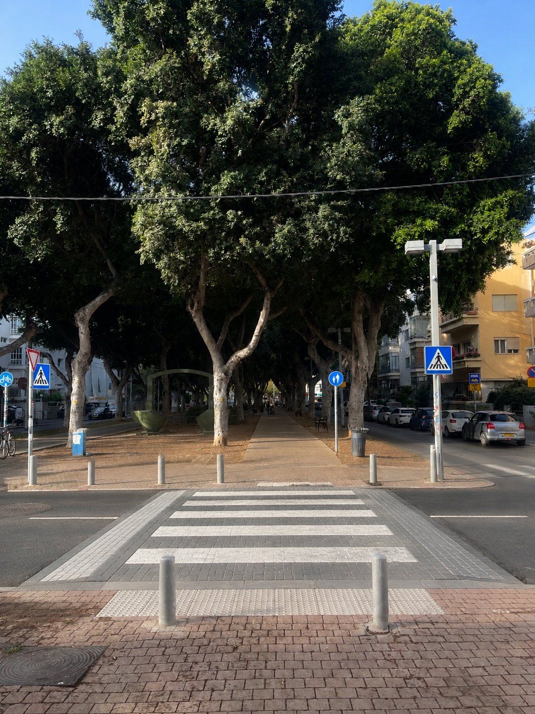 צריך מעבר חצייה