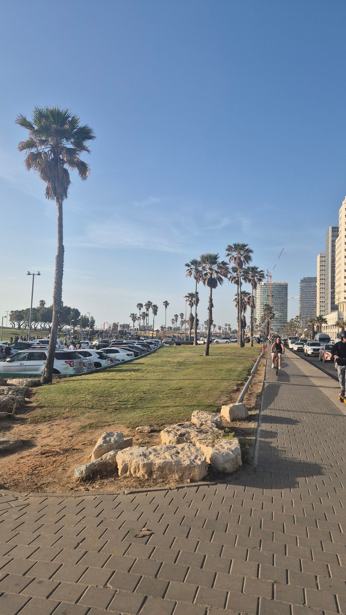 צריך ירוק