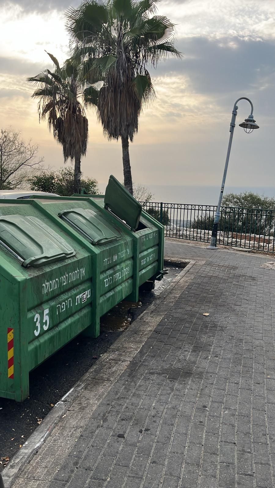 צריך ירוק